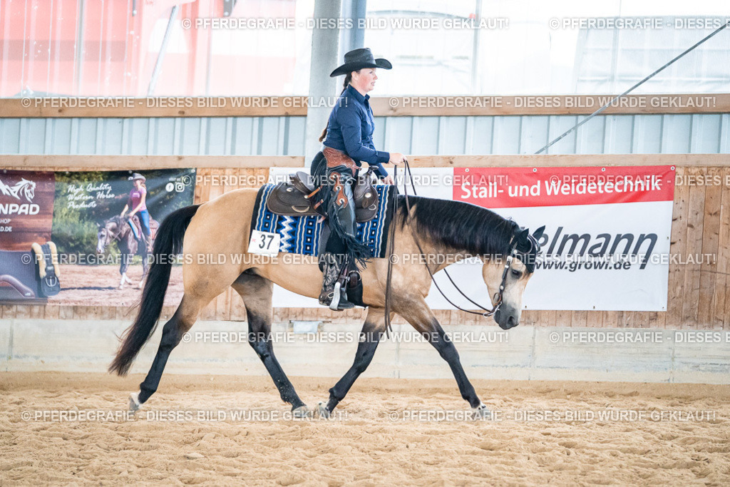 DSC03437 | Pferdegrafie