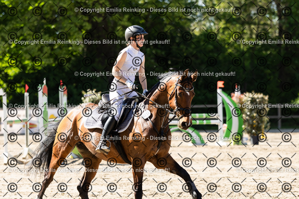 CL5A3166 | Emilia Reinking Fotografie - Realisiert mit Pictrs.com