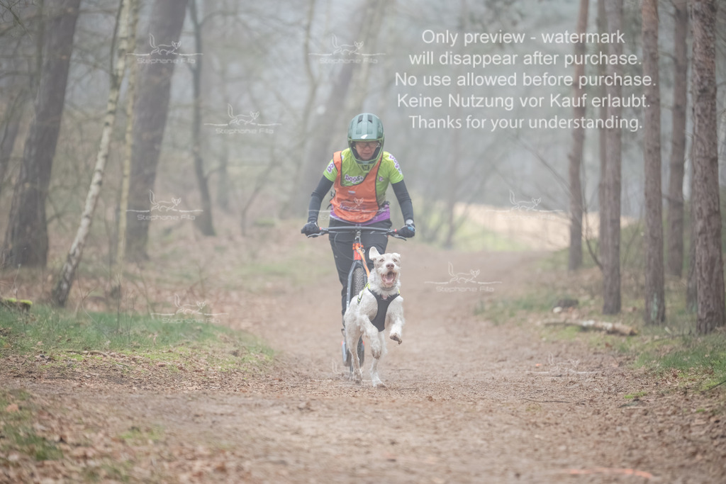 Scooter1-154 | stephaniefillaphotographie - Realisiert mit Pictrs.com