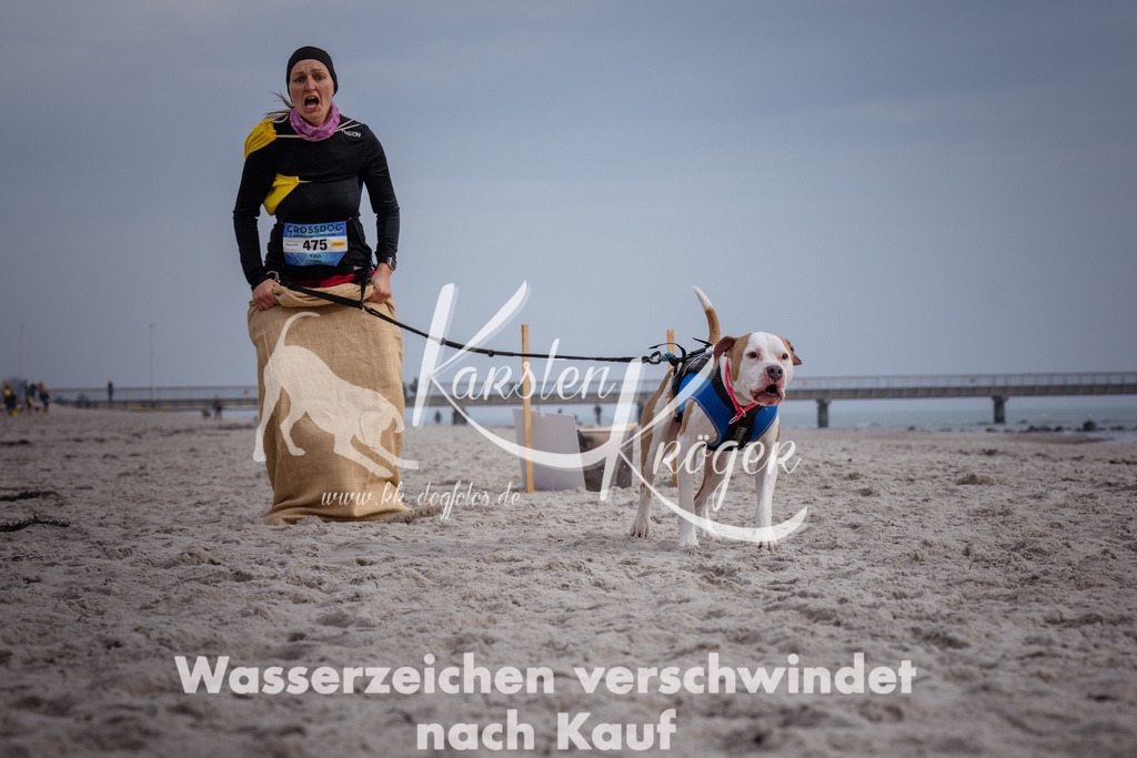 1152_ZZ91170 | kk-dogfotos