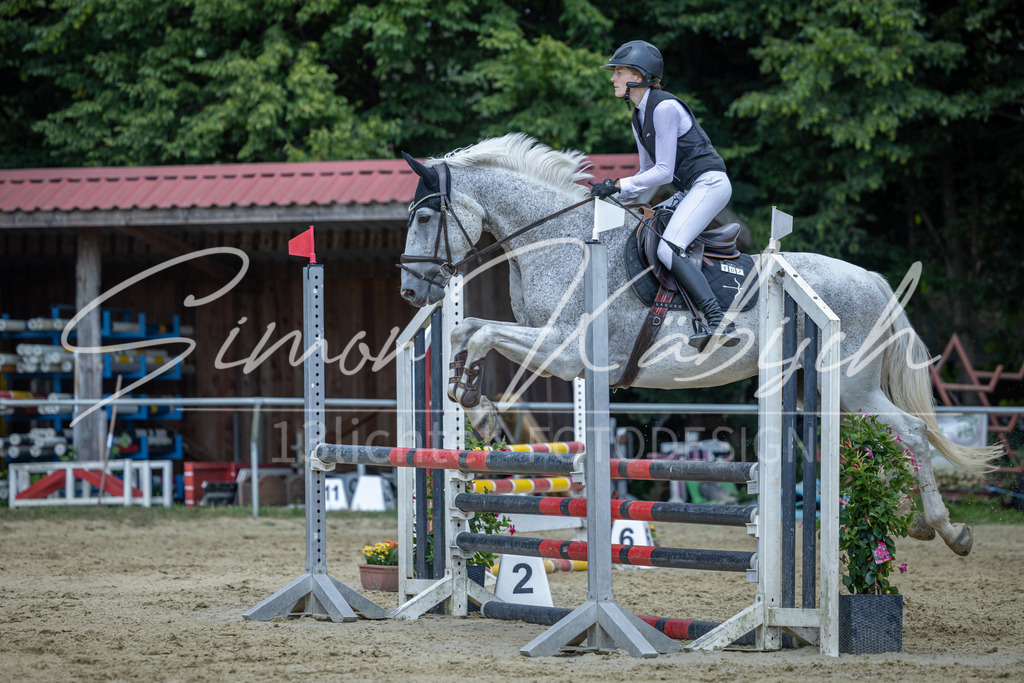 20260704-_3LI0574 | Tierfotografie Pferde, Hunde, Katzen, Haustiere.
Turnierfotografie Reitturniere, Reiten, Springreiten, Dressur in Hanau, dem Main-Kinzig-Kreis und dem Rhein-Main- Gebiet um Frankfurt