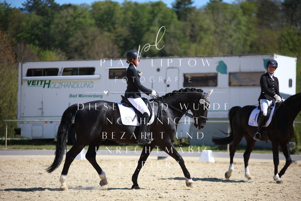 IMGT1784 | pl-fotografie