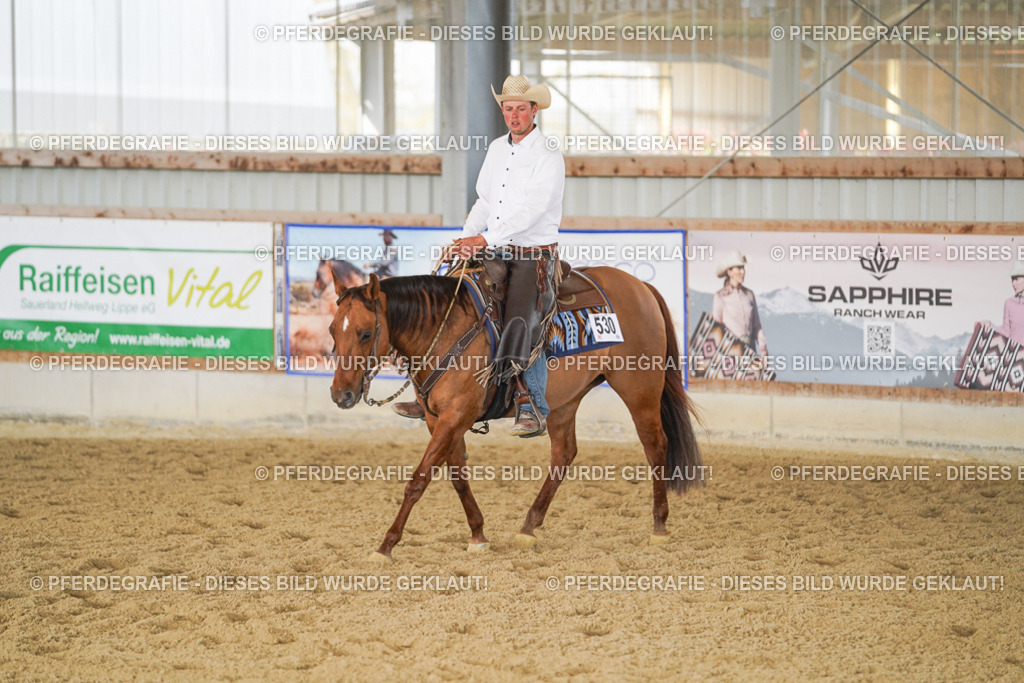 DSC00756 | Pferdegrafie