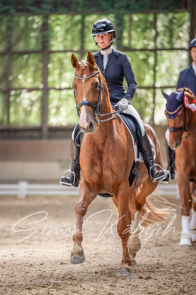 20250621-_3LI0298 | Tierfotografie Pferde, Hunde, Katzen, Haustiere.
Turnierfotografie Reitturniere, Reiten, Springreiten, Dressur in Hanau, dem Main-Kinzig-Kreis und dem Rhein-Main- Gebiet um Frankfurt