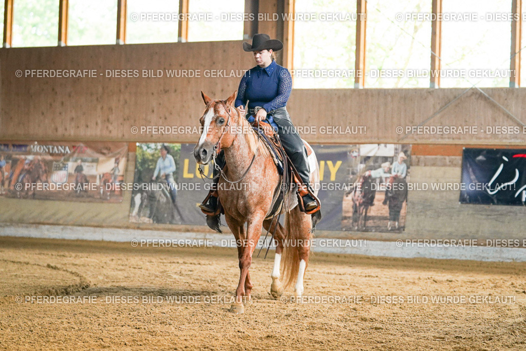 DSC05310 | Pferdegrafie