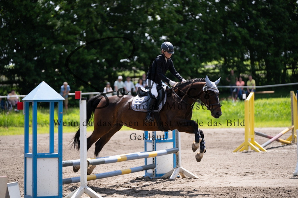 A7V04494 | Pferdefotograf