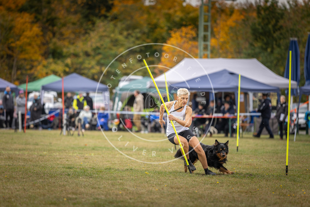 Pfotenfotografie_DV3A5744 | Hundefotografie, Tierfotograf, Pfotenfotografie, Fotoshooting Hund, Hunde Portrait, Hundesport, Hundeportraits, Heideshooting, Hunde, Sportfotograf, Hundefotograf, Turnierhundsport, THS,  - Realisiert mit Pictrs.com