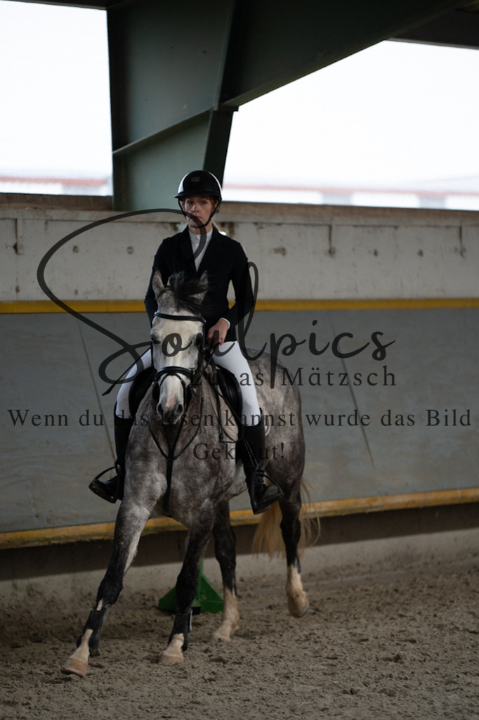 A7V03847 | Pferdefotograf