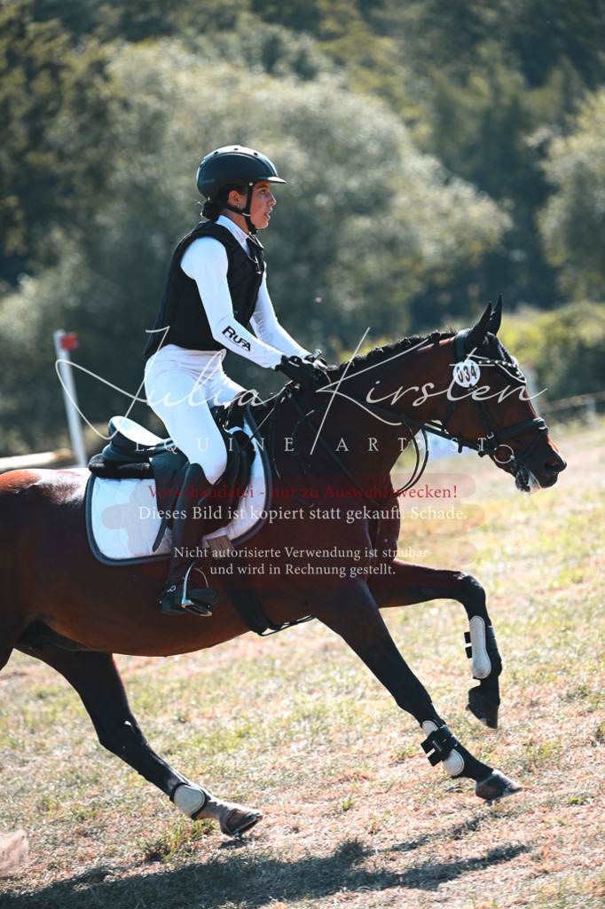 DSC_8274 | Pferde- und Turnierfotografie in Westsachsen. Pferdeportraits, Auftragszeichnungen und intuitive Kunst.