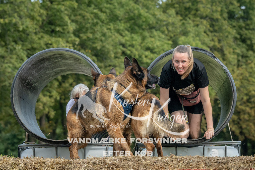 1426_ZZ91172 | kk-dogfotos