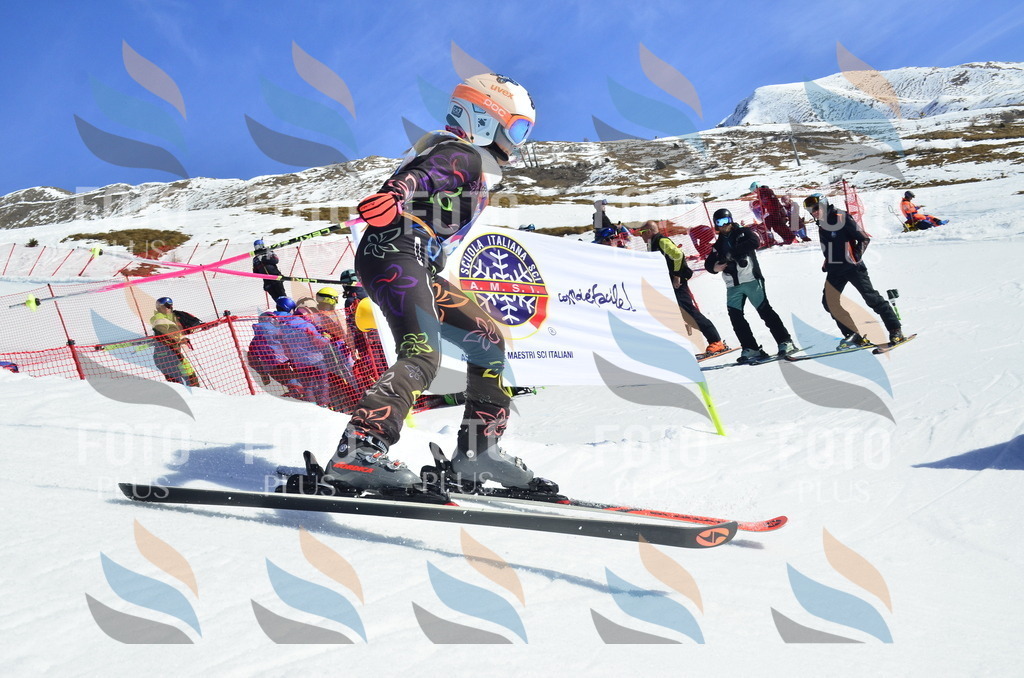 _ELE9807 | holidayphoto