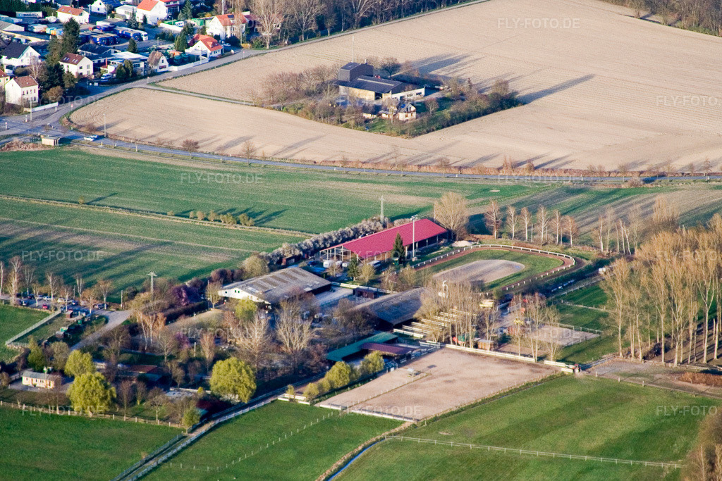 Luftbild: Reitclub Altrip eV in Altrip im Bundesland Rheinland-Pfalz in Deutschland. Foto: IMG_10073.jpg vom 29.03.2008 durch Werner Riehm/FLY-FOTO.de