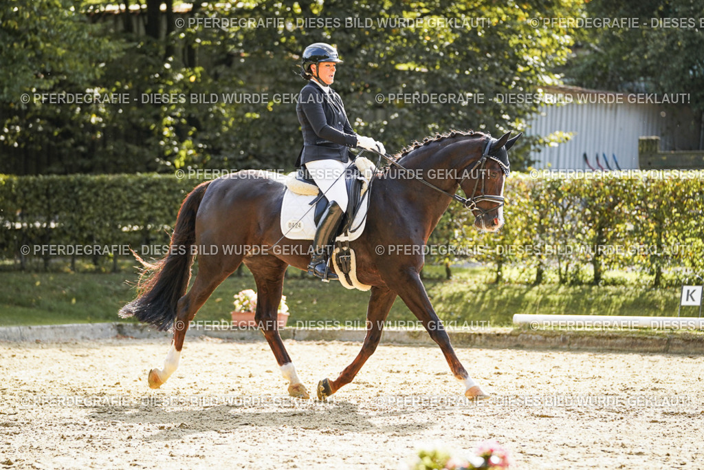 DSC07721 | Pferdegrafie