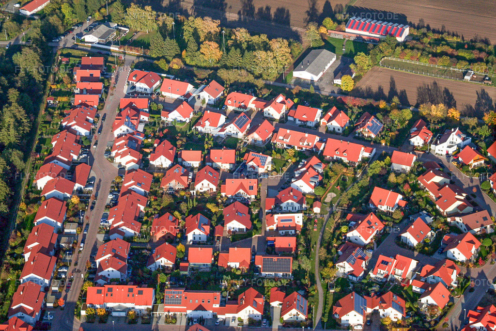 Luftbild: Geschwister-Scholl-Straße in Herxheim bei Landau im Bundesland Rheinland-Pfalz in Deutschland. Foto: IMG_14408.jpg vom 25.10.2008 durch Werner Riehm/FLY-FOTO.de