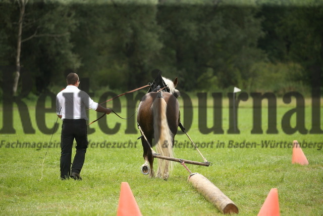 Leistungsprüfung_Ziehen_KN_15_Marbach_2022 (7) | Alle Fotos der Reiterjournal Fotografin Doris Matthaes im Reiterjournal Online-Fotoshop. - Realisiert mit Pictrs.com