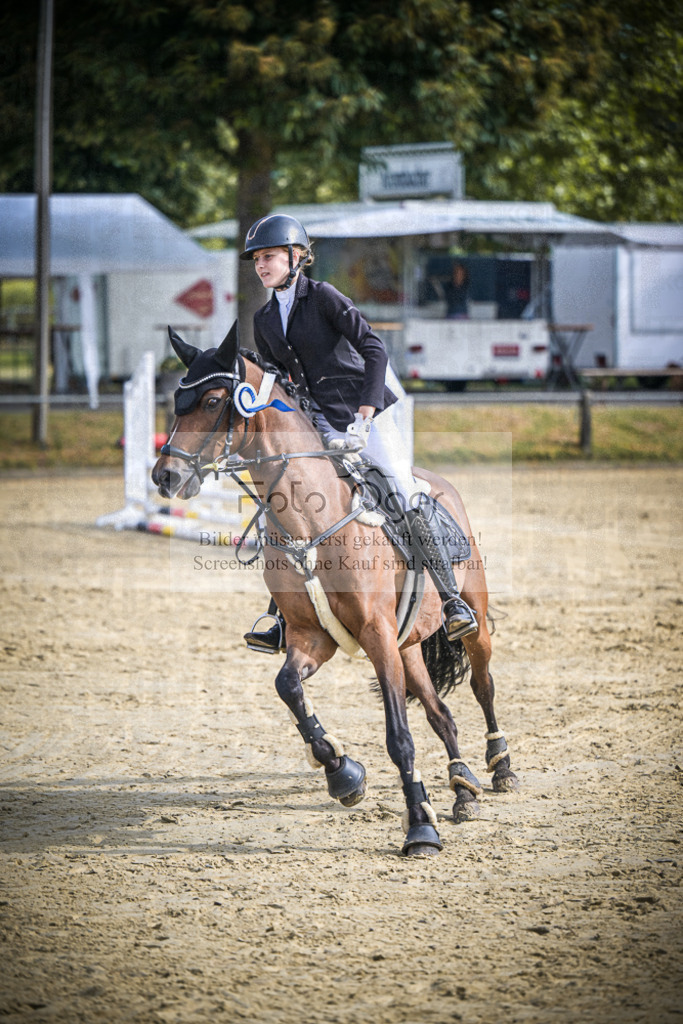 DOS_2077 | Entdecke hochwertige Reitturnierfotos von Foto Oger. Professionell, emotional und authentisch – jetzt Lieblingsmomente im Shop bestellen.Deutschlandweite Turnierfotografie. - Realisiert mit Pictrs.com