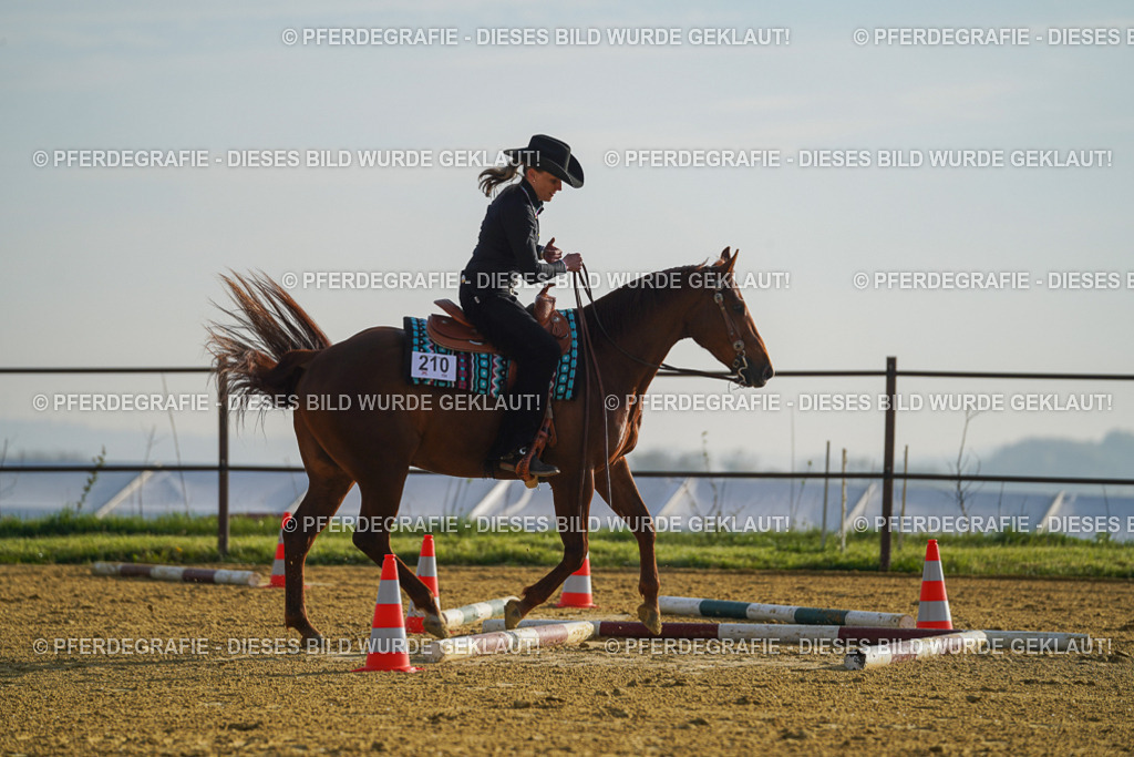 DSC00115 | Pferdegrafie