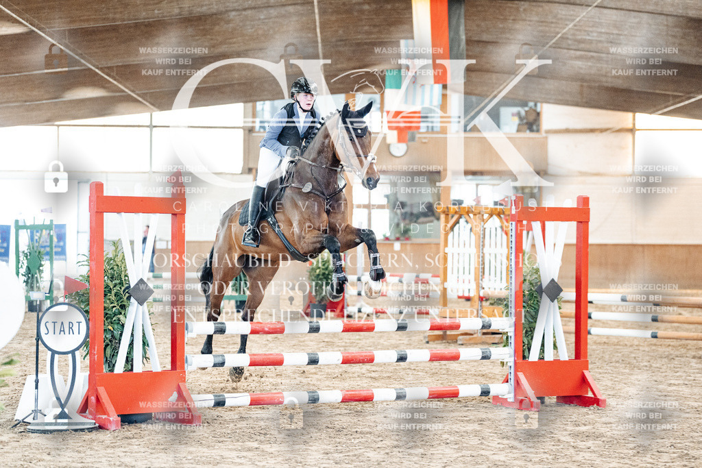 CK903704 | Turnierfotografie Pferdefotografie Trier Rheinland-Pfalz Pferdesport Reitsport Tierfotografie Sportfotografie Pferdevideo Pferdevideografie Equestrianvideography equestrianphotography  - Realisiert mit Pictrs.com