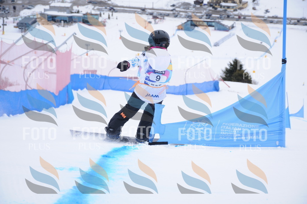 DSC_9621 | holidayphoto