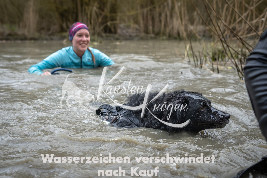 1433_ZZ99713 | kk-dogfotos