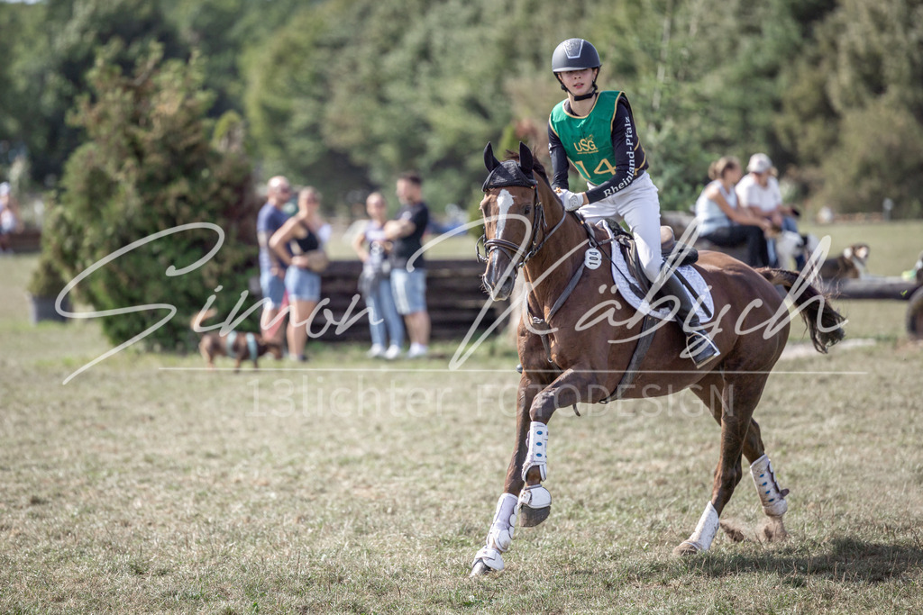 20250907-_3LI1538 | Tierfotografie Pferde, Hunde, Katzen, Haustiere.
Turnierfotografie Reitturniere, Reiten, Springreiten, Dressur in Hanau, dem Main-Kinzig-Kreis und dem Rhein-Main- Gebiet um Frankfurt