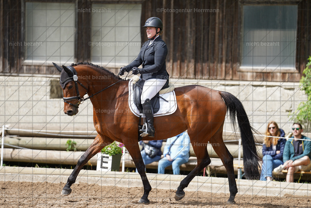 20240519-FAH04906 | Turnierbilder Niederseeon 2024, Vielseitigkeitsdressur, Reitsportbilder aus dem Landkreit Ebersberg, Gut Steinsee, RC Steinsee, Fotoagentur Herrmann