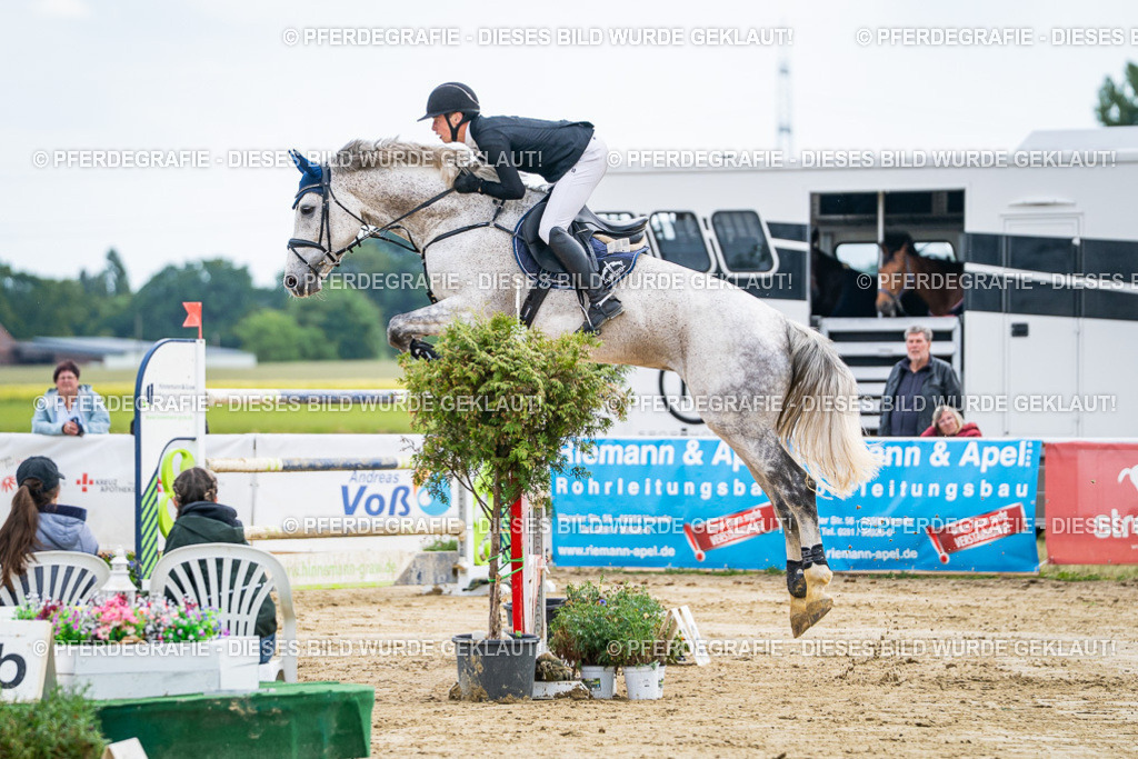 DSC07034 | Pferdegrafie