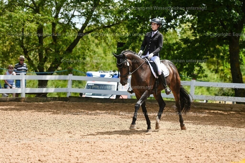 20230716_03_Dressurprfg. Kl.L - Tr._0581 | equistock