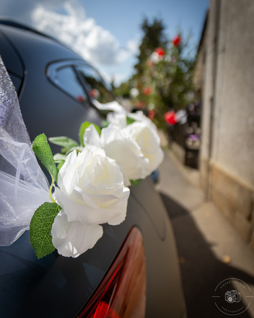 IMG_6542 | pierre-irmisch-photography.de