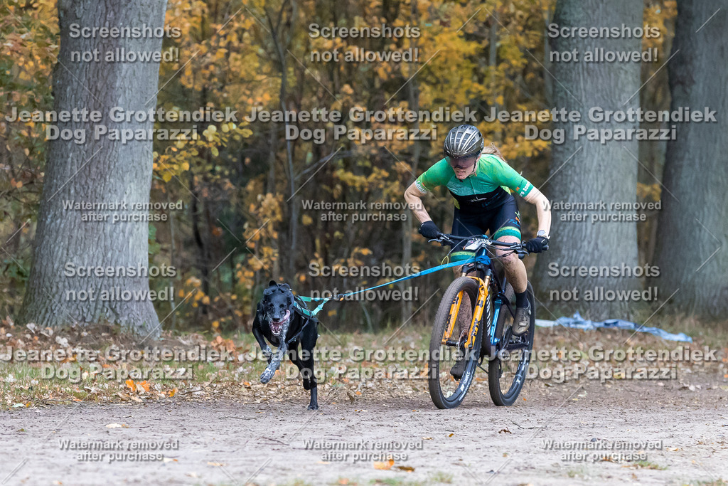 Dog Paparazzi - SD CaniX Championship 2025-212 | Dog Paparazzi Jeanette Grottendiek Fotografie & Videografie - Realisiert mit Pictrs.com