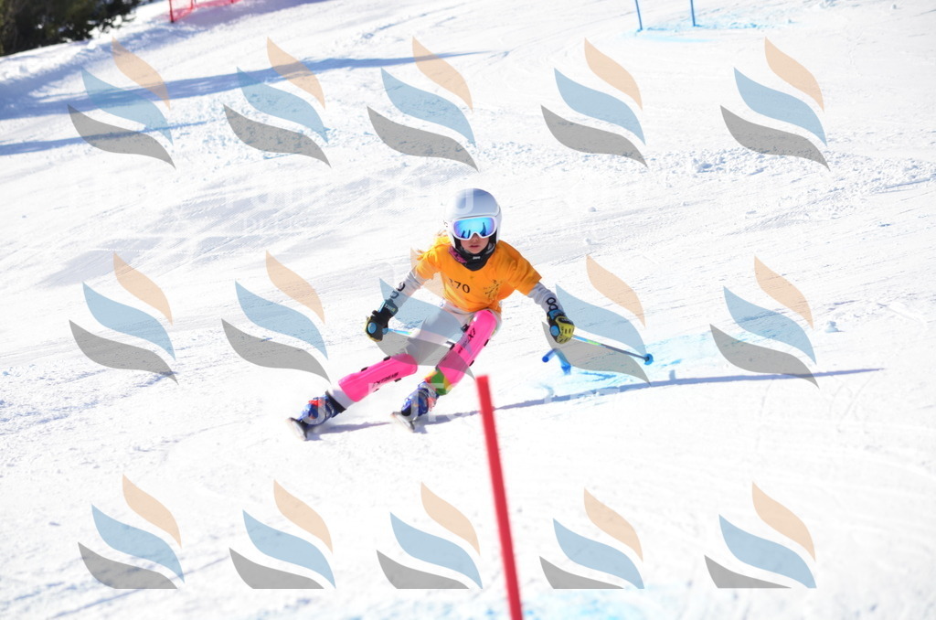 C6097 | holidayphoto