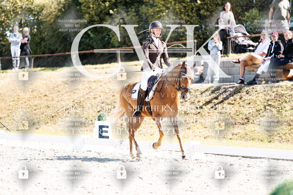 CK903718 | Turnierfotografie Pferdefotografie Trier Rheinland-Pfalz Pferdesport Reitsport Tierfotografie Sportfotografie Pferdevideo Pferdevideografie Equestrianvideography equestrianphotography  - Realisiert mit Pictrs.com