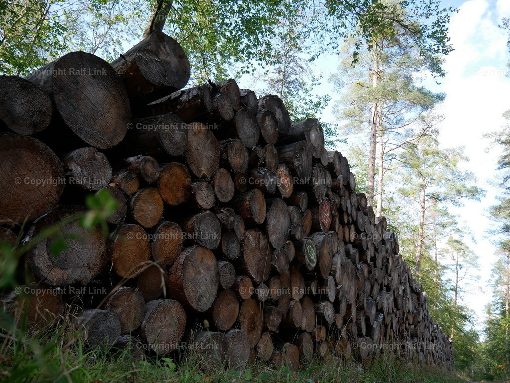 P1000490 | Stockfotos, Fotos mit Miniaturfiguren und kreativen Ideen. Dabei auch vieles aus der Metropolregion Rhein-Neckar. 