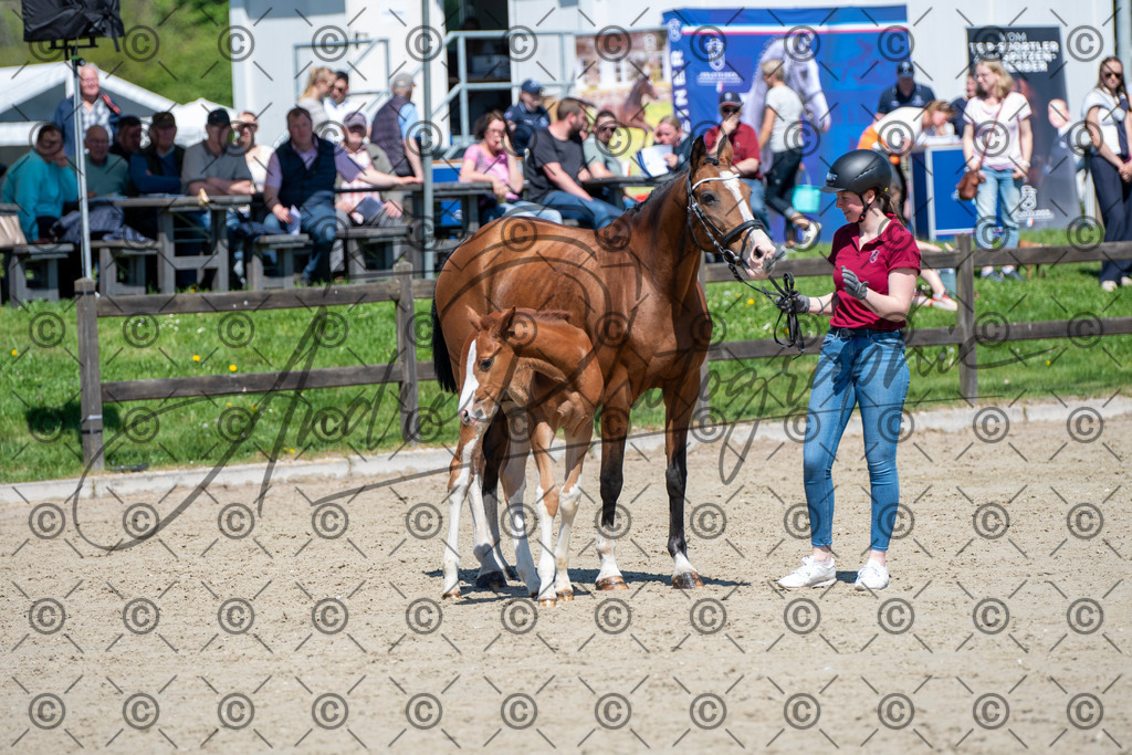 KPT_0788 | andre_photographic