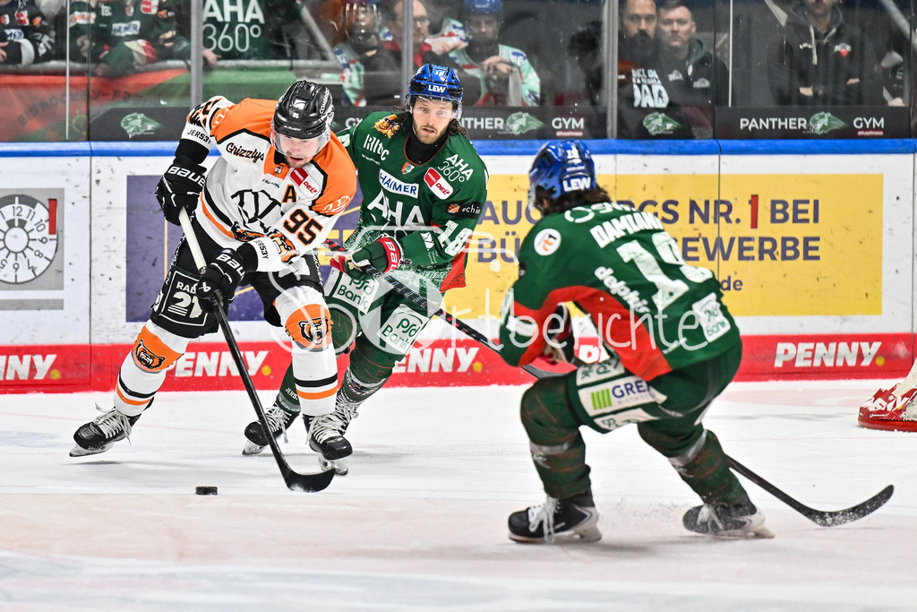 Augsburger Panther - Grizzlys Wolfsburg | AUGSBURG, GERMANY - 15. MARCH: im Duel Fabio PFOHL (Grizzlys Wolfsburg 95) und Anthony LOUIS (Augsburger Panther 18) während dem Match zwischen den Augsburger Panthern und den Grizzlys Wolfsburg am 52. Spieltag der Penny DEL im Curt Frenzel Stadion