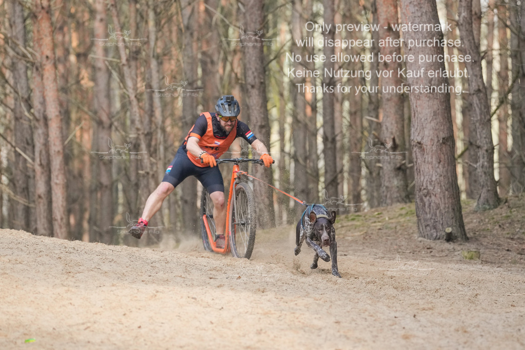 Scooter2-17 | stephaniefillaphotographie - Realisiert mit Pictrs.com