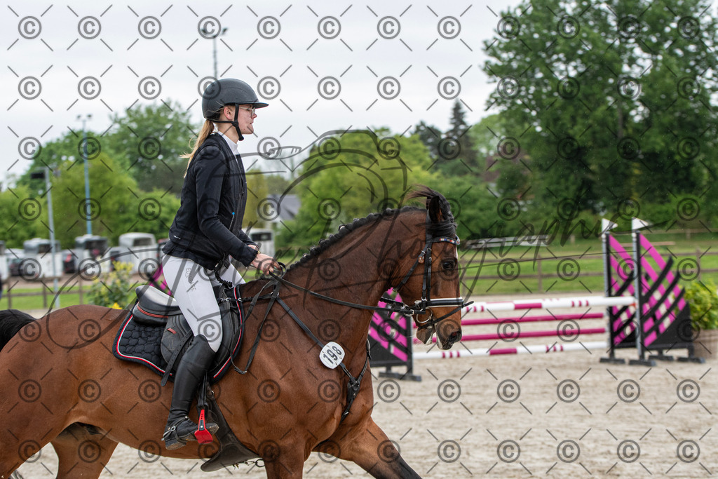 KPT_7558 | andre_photographic