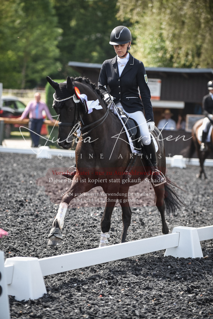 DSC_5175 | Pferde- und Turnierfotografie in Westsachsen. Pferdeportraits, Auftragszeichnungen und intuitive Kunst.