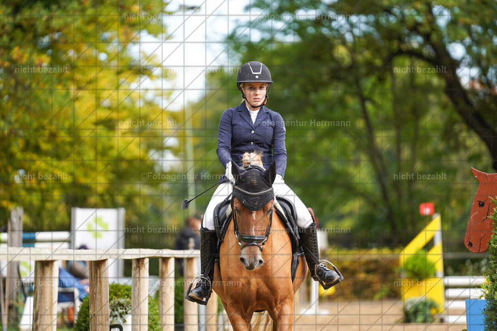 20221009-FAH08480 | Diessen am Ammersee, 2022, Dressur- und Springturnier, Reitsportbilder, Turnierfotografen Bayern, Pferdefotografen, Fotoagentur Herrmann, Turnierbilder