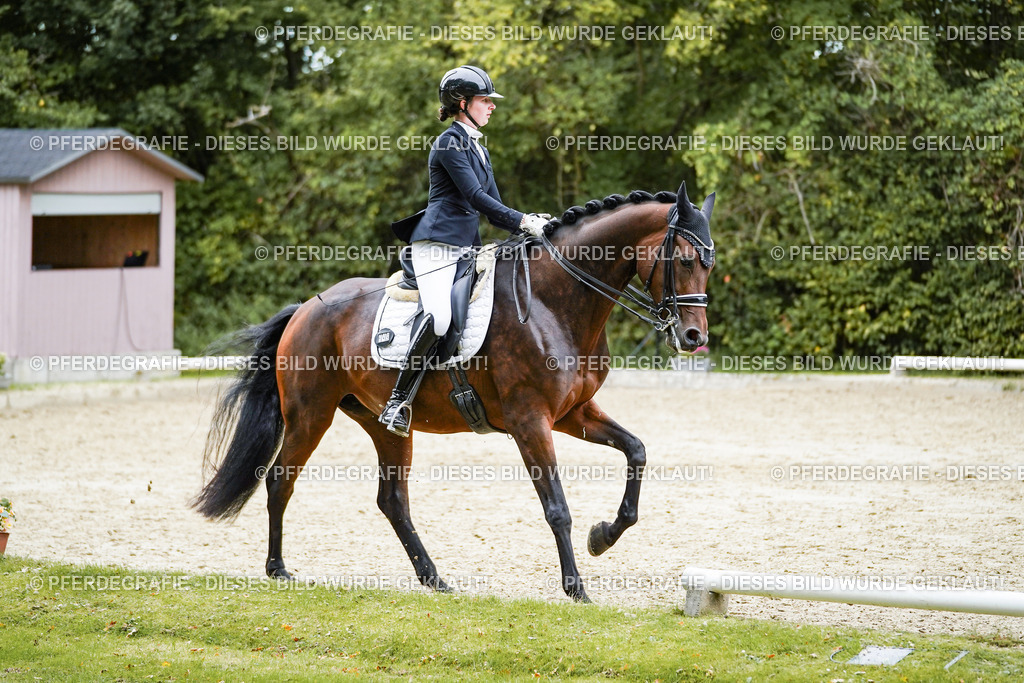 DSC02008 | Pferdegrafie