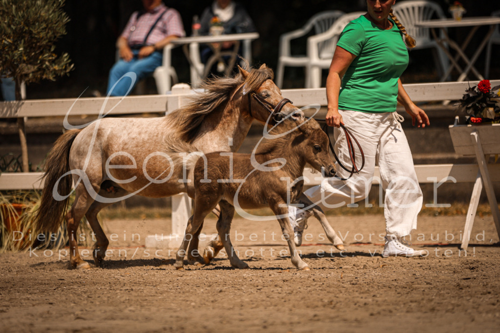 01.DoKR00127 | Leoni Ertmer Photography - Realisiert mit Pictrs.com