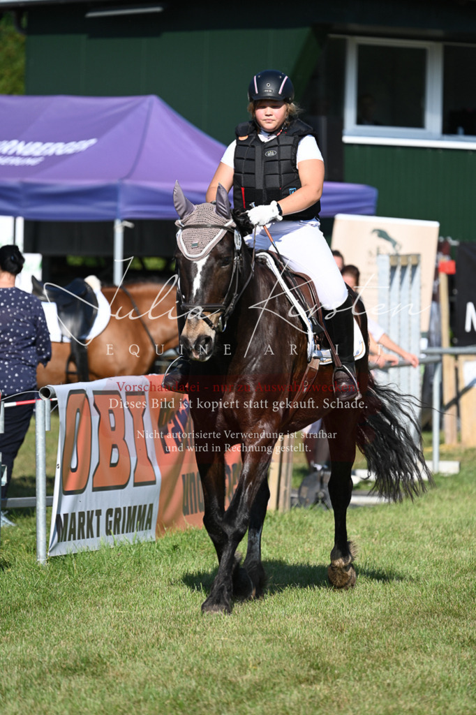 DSC_5172 | Pferde- und Turnierfotografie in Westsachsen. Pferdeportraits, Auftragszeichnungen und intuitive Kunst.