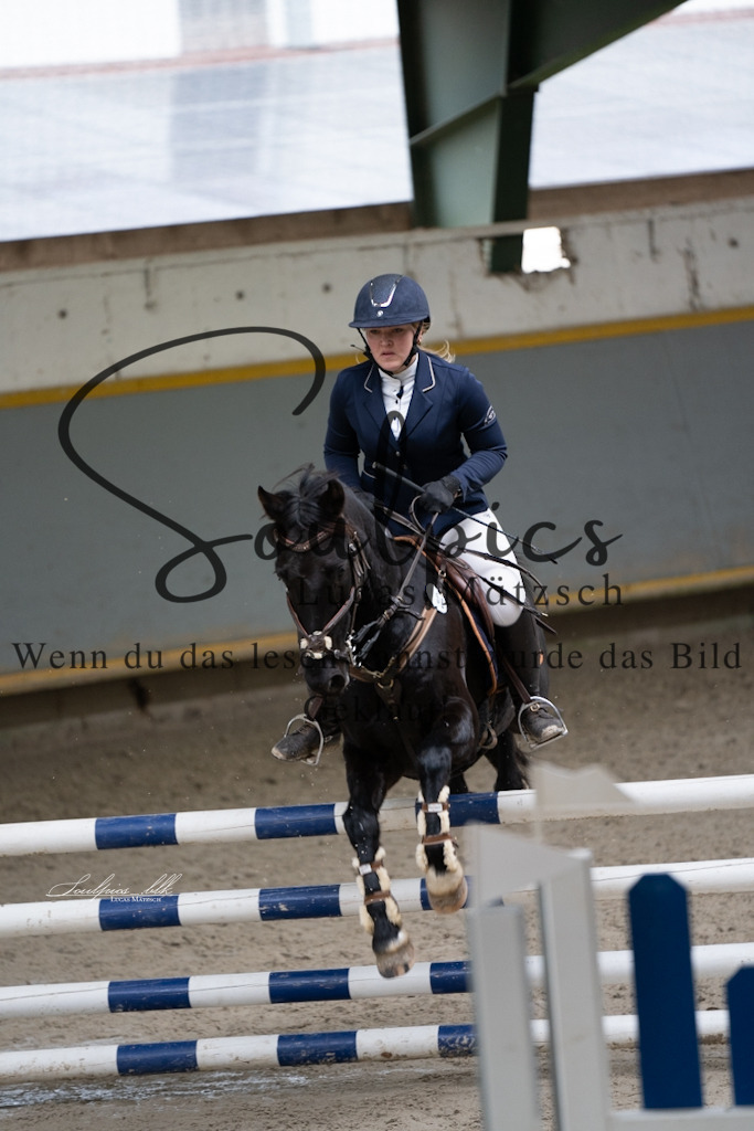 A7V01324 | Pferdefotograf