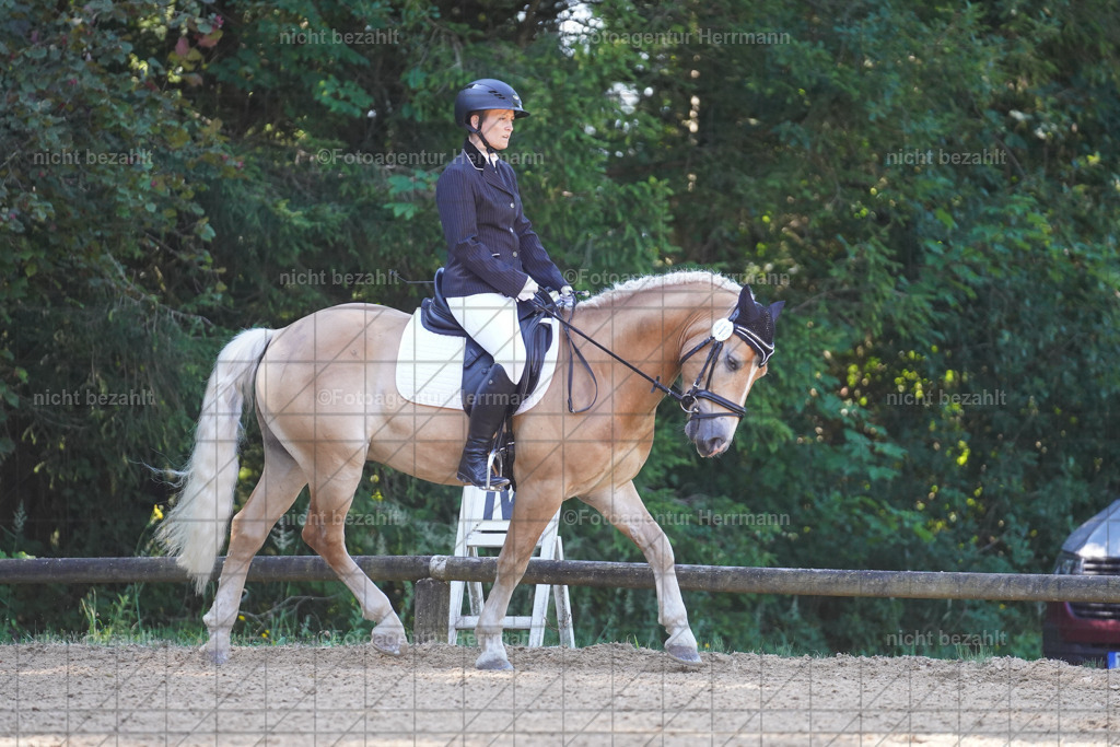 20240706-FAH04794 | Grafing Turnierfotos, Reitverein Ebersberg, Turnierfotografen Bayern, reitsportbilder, Pferdefotograf, reitsportfotograf, Sportbilder, Reitsportfotografie, Fotoagentur Herrmann, Turnierfotograf