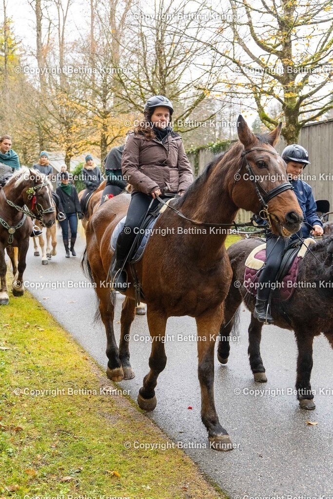 LL25-256 | foto-bettina-krinner - Realisiert mit Pictrs.com
