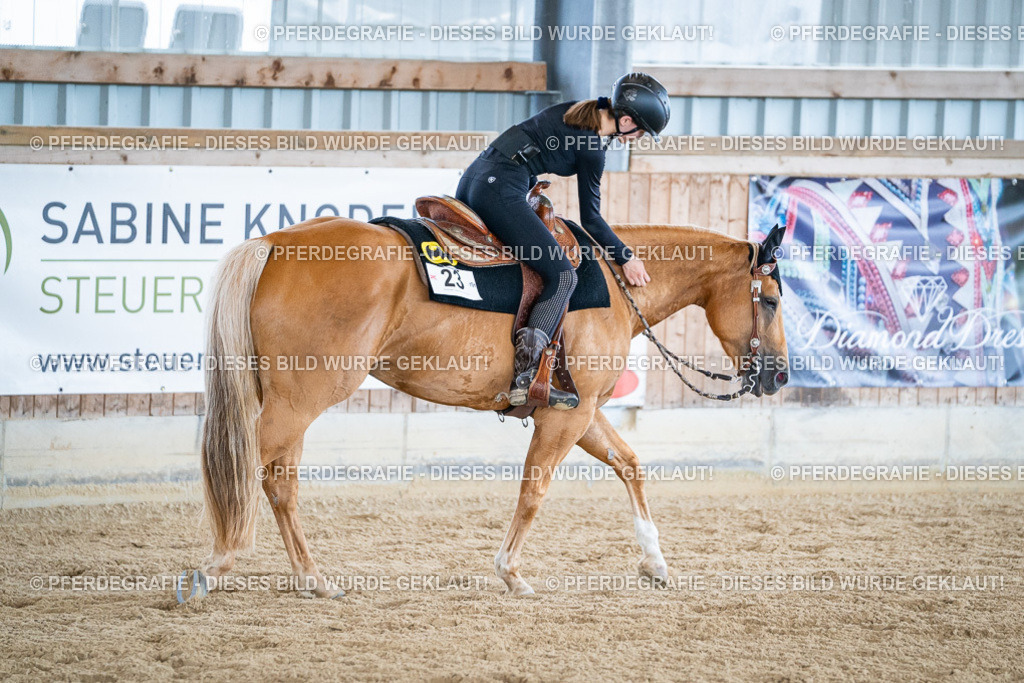 DSC04595 | Pferdegrafie