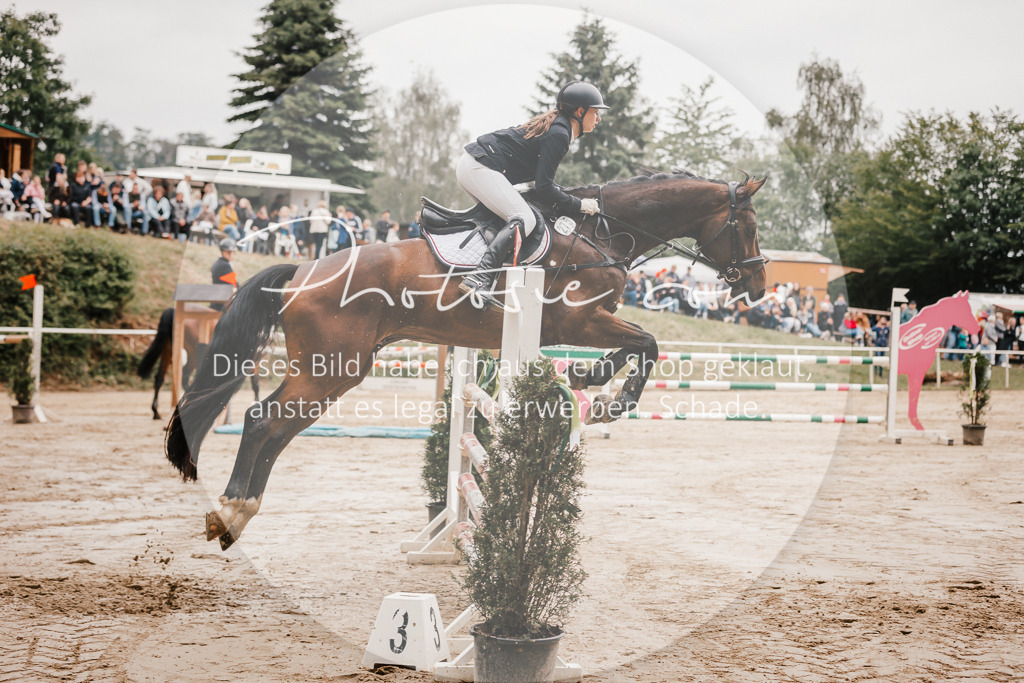 3I6A2136 | Stimmungsvolle Portraits und Reitsportfotografie im Ruhrgebiet und im Münsterland.

Pferdefotografie, Hundefotografie, Tierfotografie, Reportagen, Portraits von Tier und Mensch, Turnierfotografie in Bochum, Recklinghausen, Marl, Haltern am See, Dülmen.. - Realisiert mit Pictrs.com