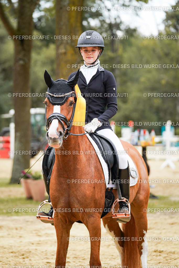 DSC06224 | Pferdegrafie