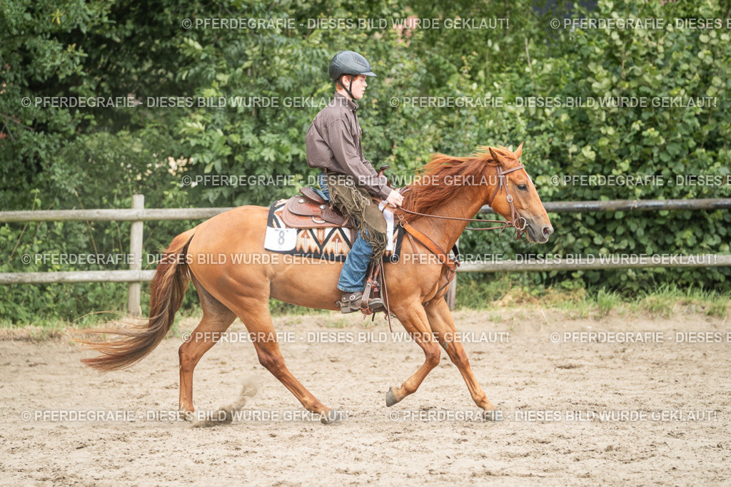 DSC04094 | Pferdegrafie