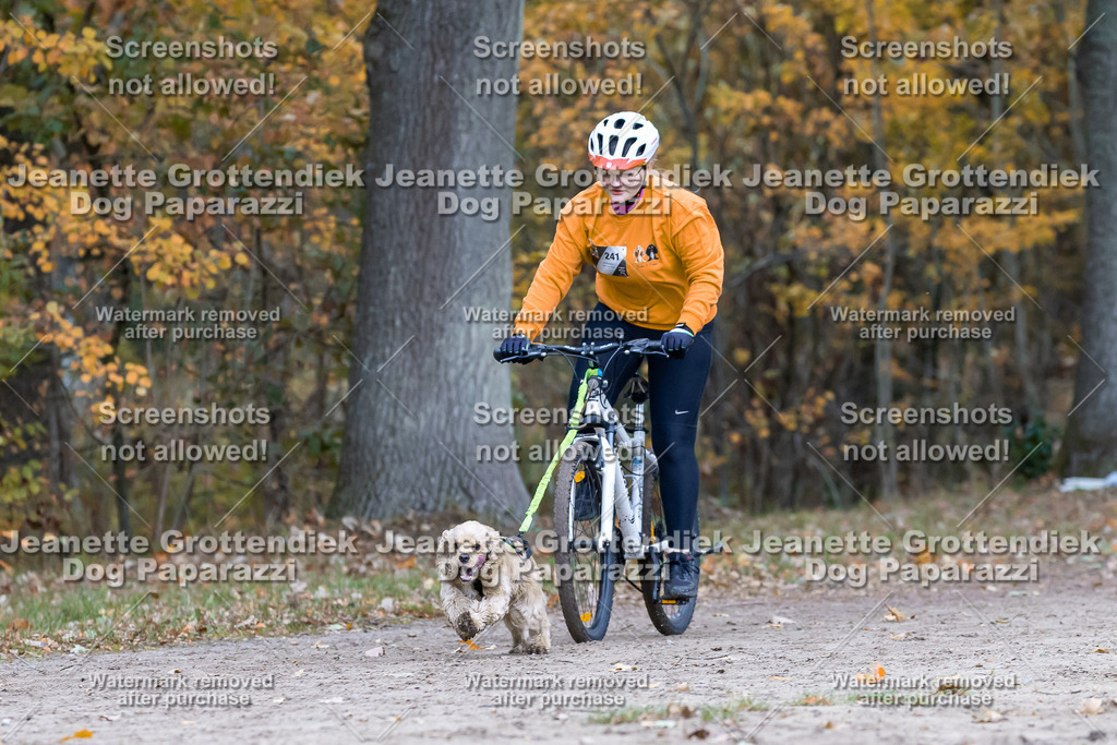 Dog Paparazzi - SD CaniX Championship 2025-598 | Dog Paparazzi Jeanette Grottendiek Fotografie & Videografie - Realisiert mit Pictrs.com